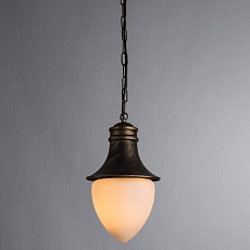 Уличный подвесной светильник Arte Lamp Vienna A1317SO-1BN 2