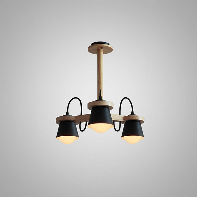 Подвесная люстра Imperium Loft Natura 151721-26 Фото № 1