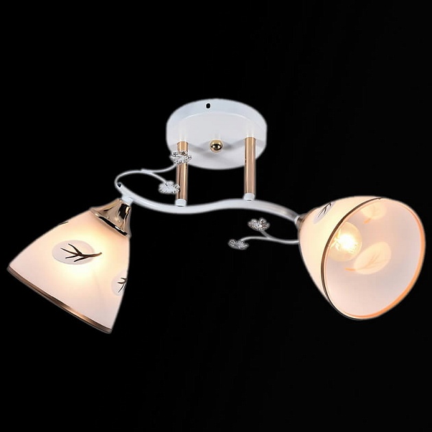 Потолочный светильник Reluce 01145-0.3-02 изображение 1 Потолочный светильник Reluce 01145-0.3-02 Фото № 1