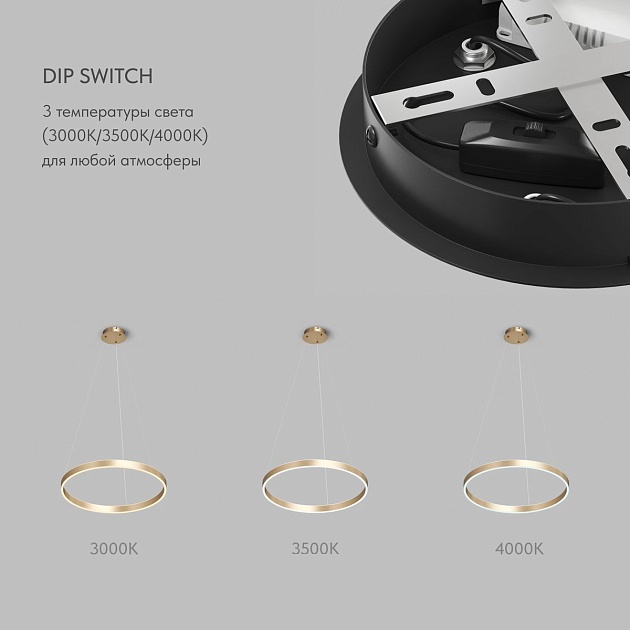 Подвесной светильник Denkirs Raydia DK6272-SG изображение 3 Подвесной светильник Denkirs Raydia DK6272-SG Фото № 3