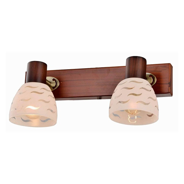 Спот Toplight Shayla TL3730Y-02BB Фото № 1