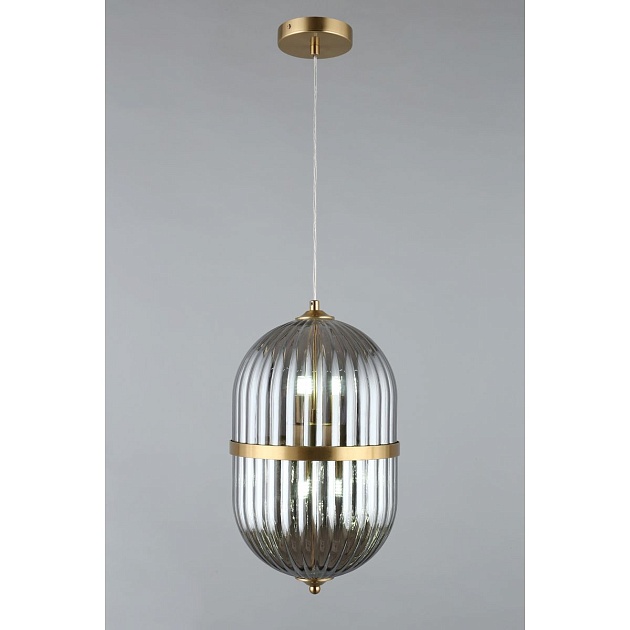 Подвесной светильник Aployt Ludovica APL.860.06.06 Фото № 11