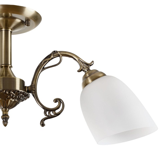 Потолочная люстра MyFar Ceiling Biene MR1522-3C Фото № 5