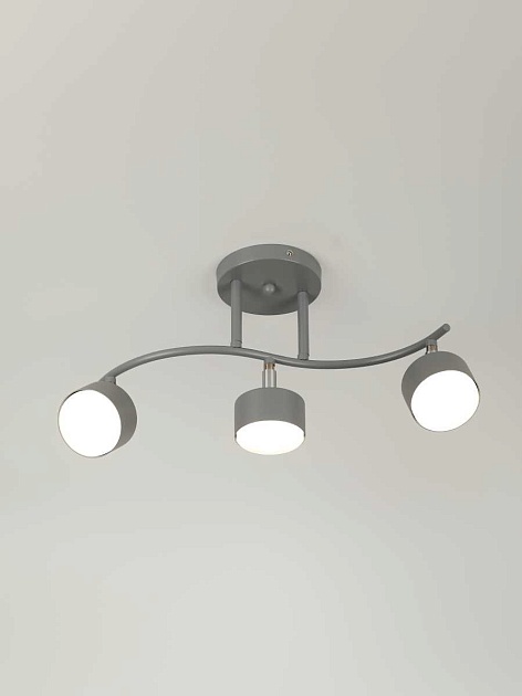 Спот Rivoli Vivien 7077-703 Б0069923 Фото № 3