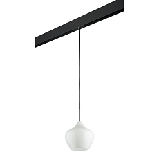 Комплект с трековым светильником Lightstar Pentola (803040+595007) PRO803040