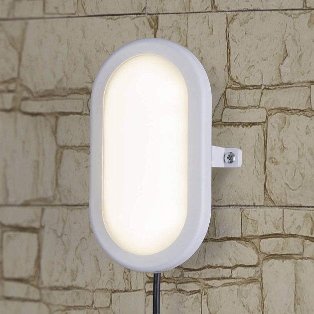 Пылевлагозащищенный светильник Elektrostandard LTB0102D LED 22 см 12W белый a036710 фото 