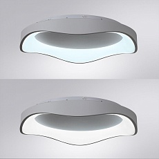 Потолочный светодиодный светильник Arte Lamp Ankaa A3085PL-56WH 2