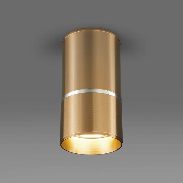Потолочный светильник Elektrostandard DLN106 GU10 золото a047732 фото 2