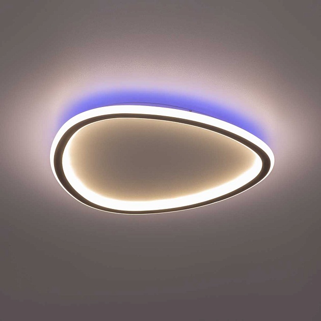 Потолочная люстра Citilux CL215B241E Фото № 13