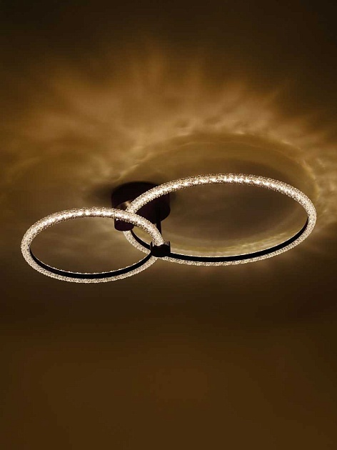 Потолочная светодиодная люстра Rivoli Letizia 6176-702 Б0068348 Фото № 13