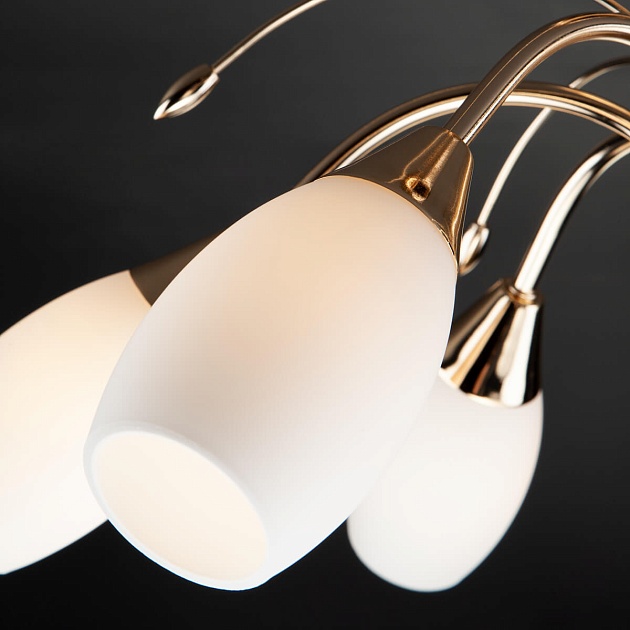 Потолочная люстра Eurosvet 22080/6 золото Фото № 4