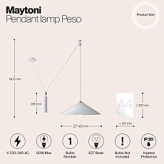 Подвесной светильник Maytoni Technical Peso P080PL-01W 3