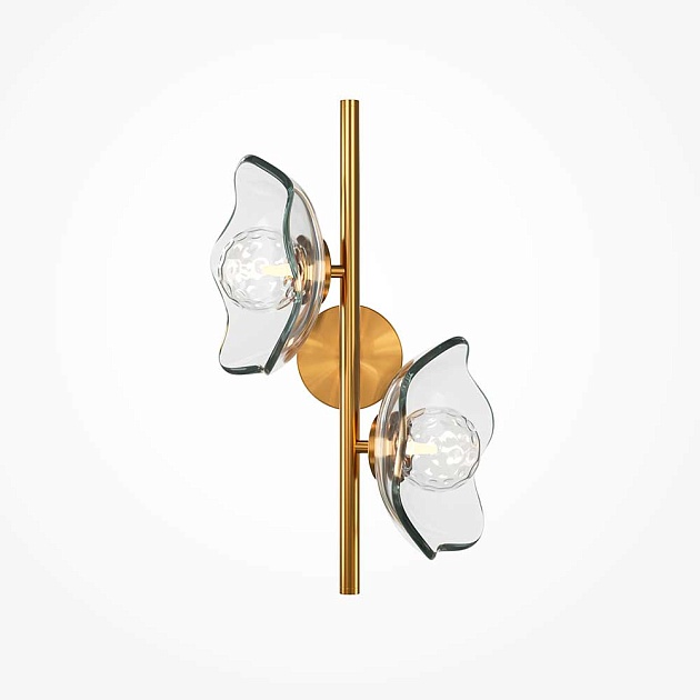 Бра Maytoni Miracle MOD207WL-02BS изображение 1 Бра Maytoni Miracle MOD207WL-02BS Фото № 1