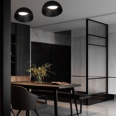 Потолочный светильник Loft it Egg 10197/350 BB 1