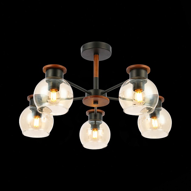 Потолочная люстра Evoluce Rasco SLE108102-05 Фото № 4