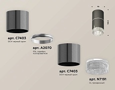 Комплект накладного светильника Ambrella light Techno Spot XS7403042 DCH/CL черный хром/прозрачный (C7403, A2070, C7403, N7191) 1