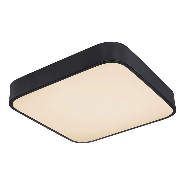 Потолочный светодиодный светильник Globo Leanara 41755-24B Фото № 1