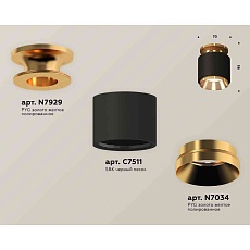 Комплект накладного светильника Ambrella light Techno Spot XS7511120 SBK/PYG черный песок/золото желтое полированное (N7929, C7511, N7034) 2