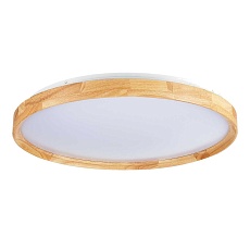Потолочный сетодиодный светильник Evoluce Delia SLE201382-01 3