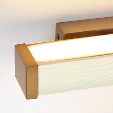 Настенный светильник Odeon Light Riviera L-Vision 5450/10WL 3