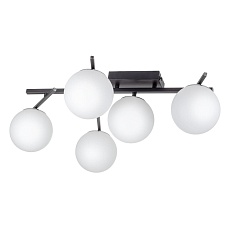 Потолочная светодиодная люстра Citilux Dorsy CL223152 4