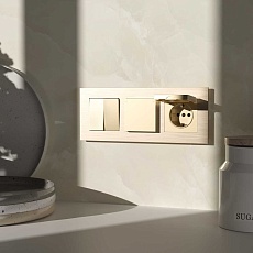 Розетка влагозащишенная с заземлением с защитной крышкой и шторками Werkel шампань W1171211 4690389212871 2