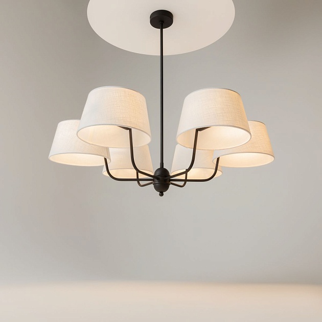 Подвесной светильник Maytoni MOD360PL-06B Фото № 7