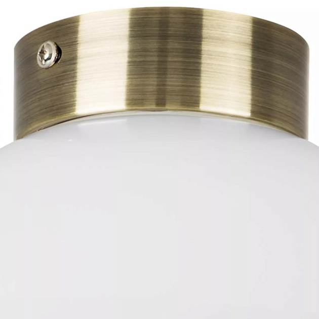 Настенно-потолочный светильник Lightstar Globo 812111 Фото № 2