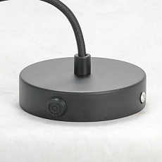 Подвесная люстра Lussole Lgo ELMIRA LSP-8206-G 3