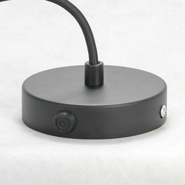 Подвесная люстра Lussole Lgo ELMIRA LSP-8206-G изображение 4 Подвесная люстра Lussole Lgo ELMIRA LSP-8206-G Фото № 4
