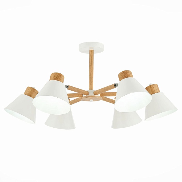 Потолочная люстра Evoluce Buve SLE103702-06 Фото № 1