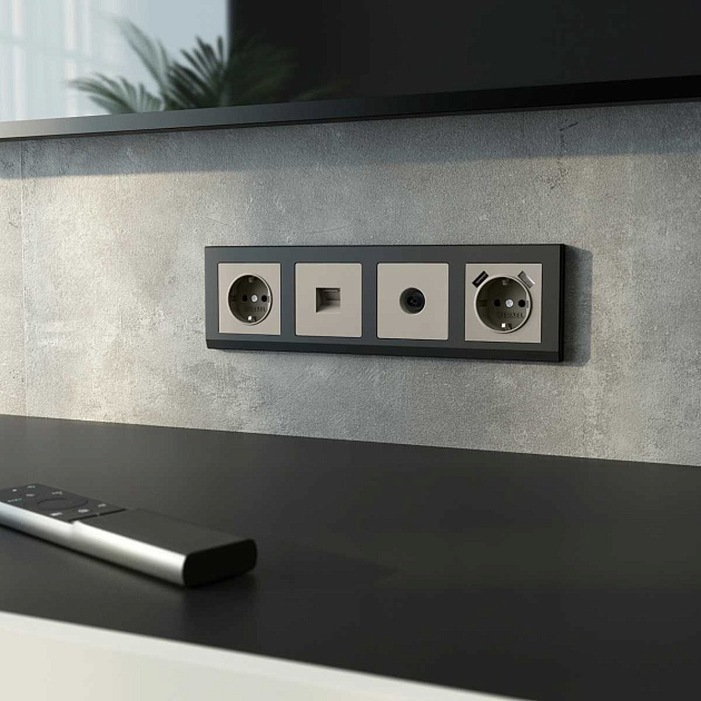 ТВ-розетка оконечная (дымчатый) W1283004/ a069469 Фото № 4