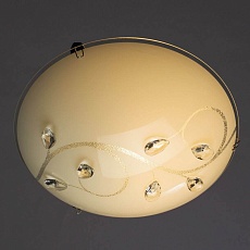 Потолочный светильник Arte Lamp A4040PL-1CC 2