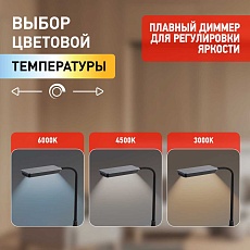 Настольная лампа ЭРА NLED-499-10W-BK Б0052777 1