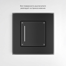 Сенсорный выключатель одноклавишный Werkel с подсветкой черный W4513008 4690389197918 3