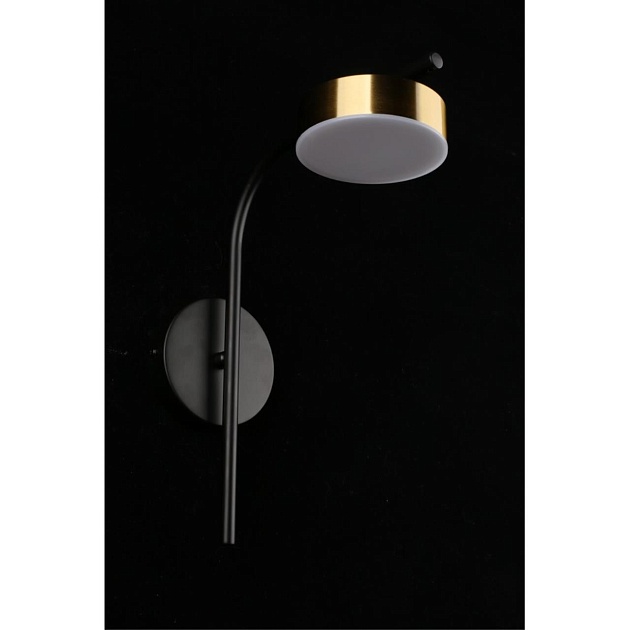 Бра Aployt Delayn APL.042.01.07 Фото № 8