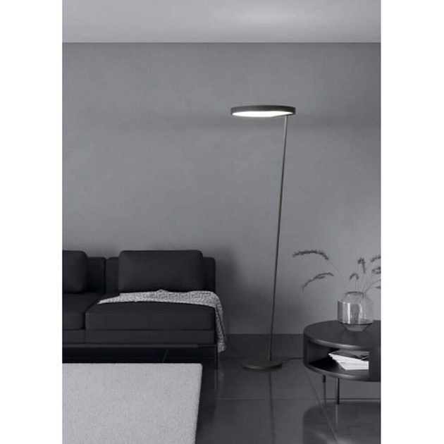 Торшер Eglo CAREDARA 390167 Фото № 3