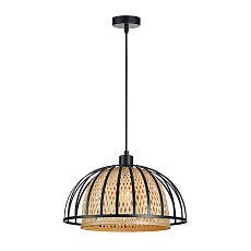 Подвесной светильник Arte Lamp WOODSTOCK A7071SP-1BK