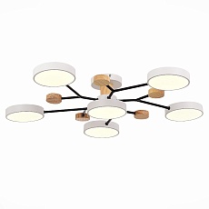 Потолочная светодиодная люстра Evoluce FAEMA SLE6006-502-06