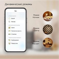 Лампа светодиодная диммируемая Gauss Smart Home E14 5W 2700K матовая 1100112 1