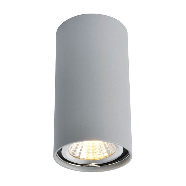 Потолочный светильник Arte Lamp A1516PL-1GY Фото № 1