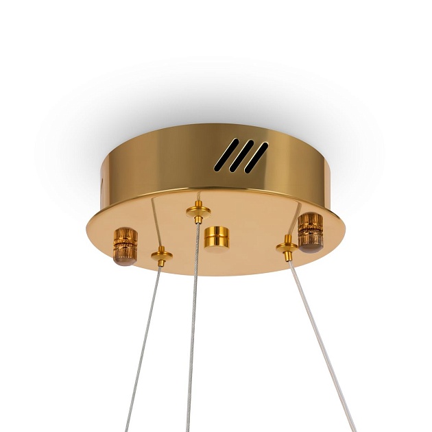 Подвесной светодиодный светильник Freya Tier FR5257PL-L17G Фото № 6