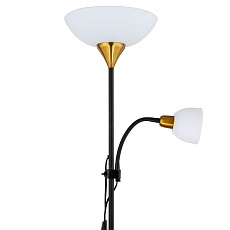 Торшер Arte Lamp Duetto A9569PN-2BK 4