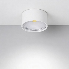 Накладной светильник Wertmark WTA WTA.O02.007.V0.12 3