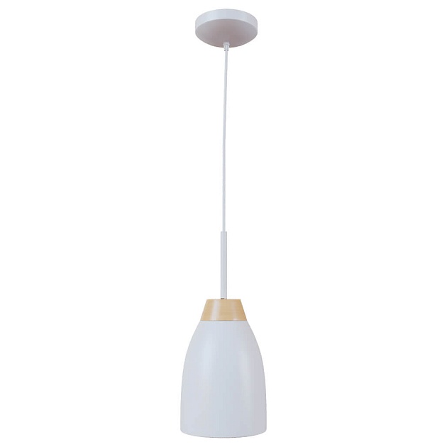 Подвесной светильник Loft IT Watchman Loft4402A-Wh Фото № 1