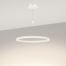 Подвесной светодиодный светильник Arlight SP-Congo-Can-1-R600-36W Day4000 046230 2
