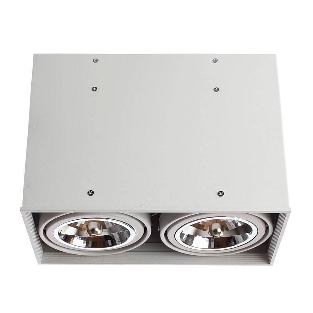 Потолочный светильник Arte Lamp Cardani A5936PL-2WH Фото № 4