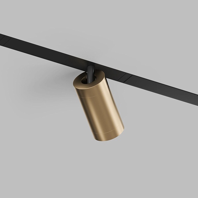 Трековый светодиодный светильник Denkirs Smart Spot DK8010-BG изображение 4 Трековый светодиодный светильник Denkirs Smart Spot DK8010-BG Фото № 4