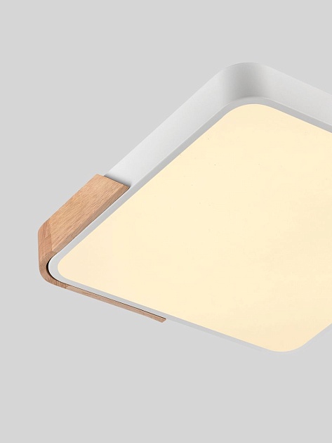 Потолочный светодиодный светильник Natali Kovaltseva LED LAMPS 81411 Фото № 3