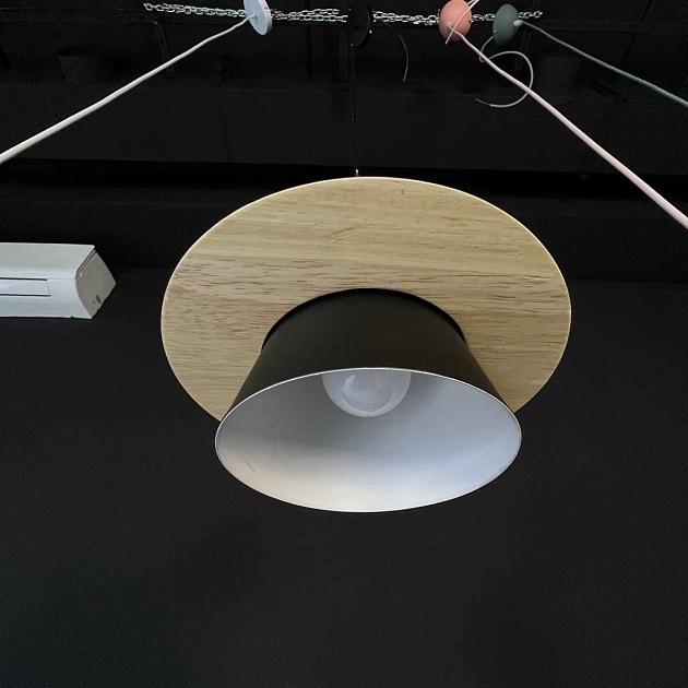 Подвесной светильник Imperium Loft Eco 101549-26 Фото № 2